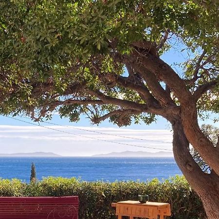 L'Arbousier Bed and Breakfast Le Le Rayol-Canadel-sur-Mer Eksteriør billede